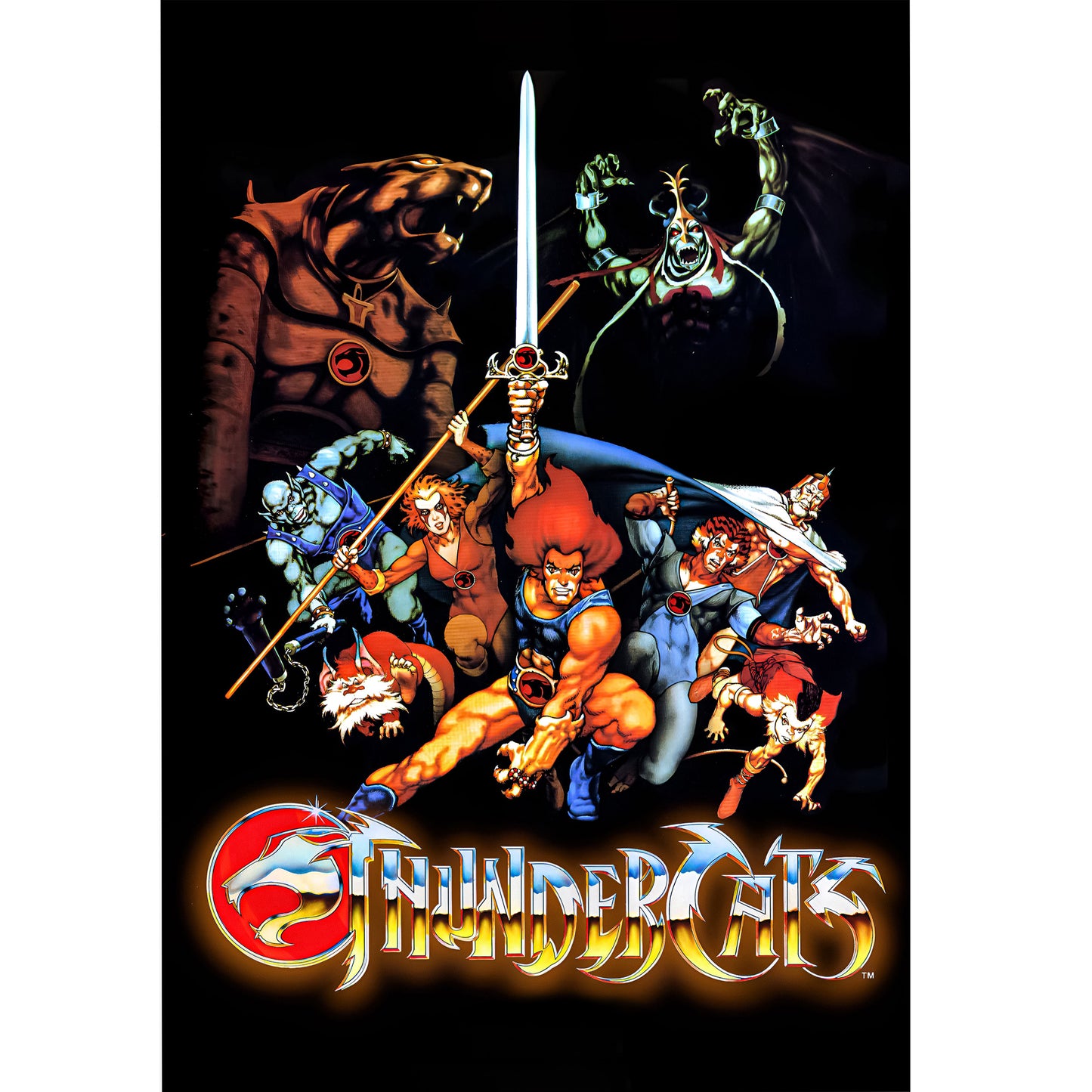 Poster en acrilico - Thundercats 1985
