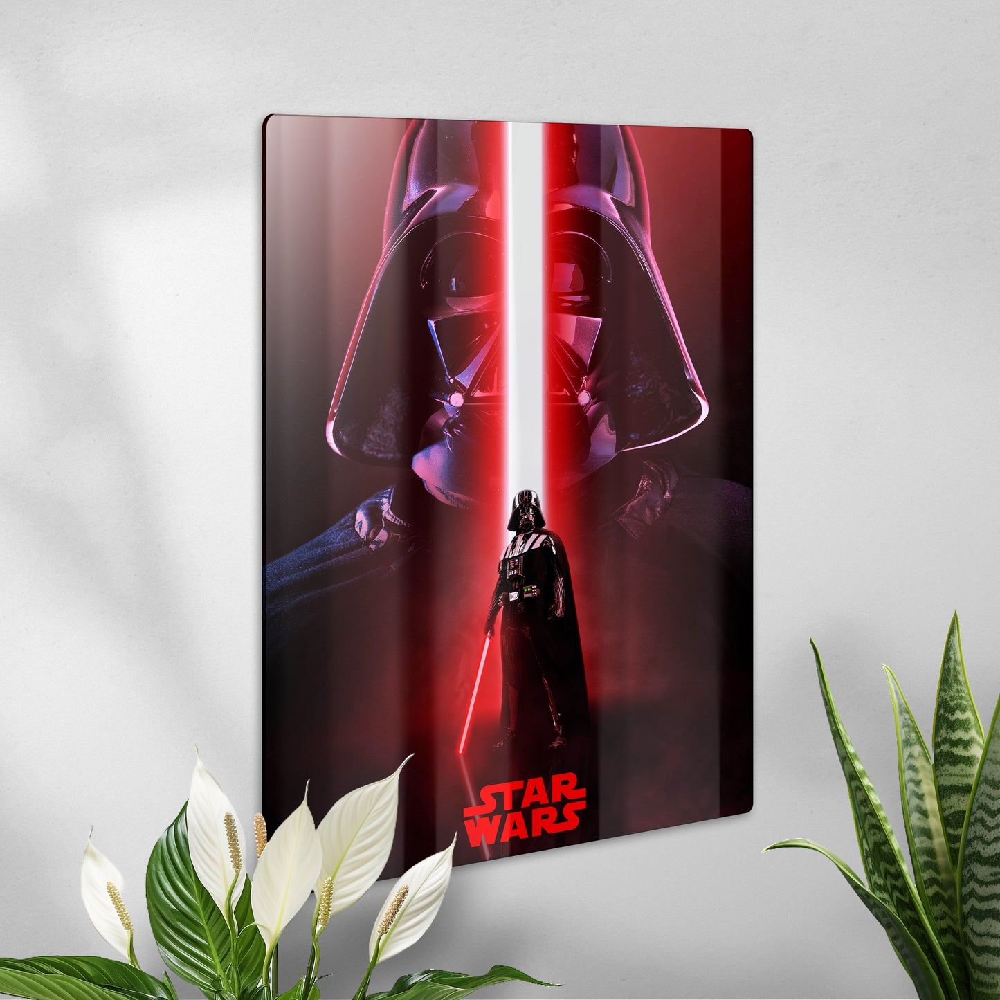 Poster en acrilico - Star Wars Trilogy